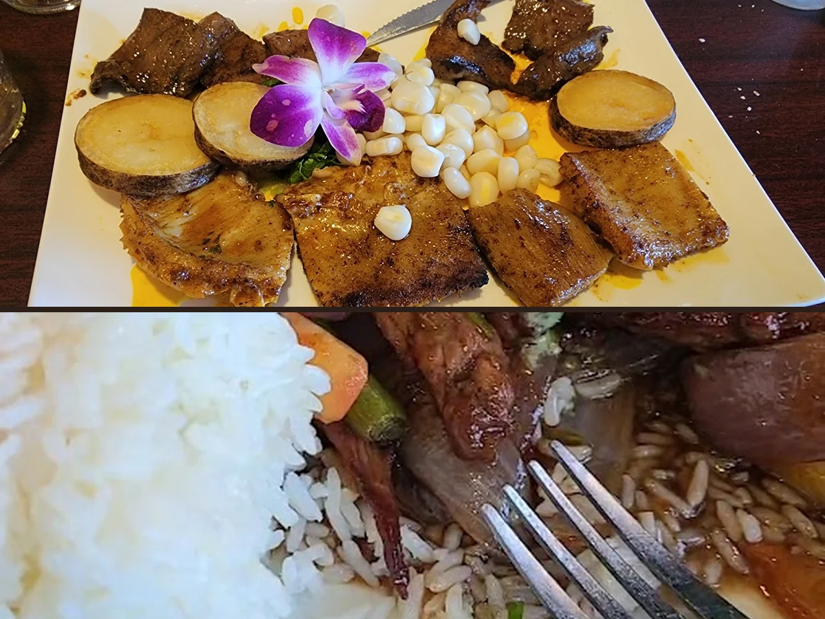 Mixed dishes served with rice and salad.